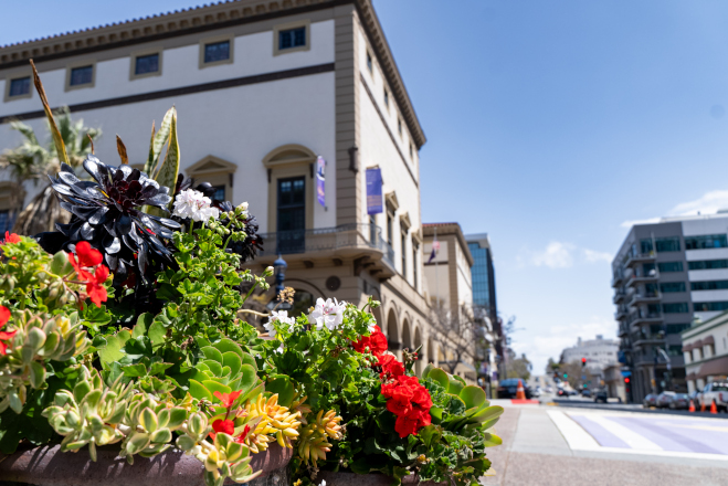 Flowers in front of California Western School of Law
