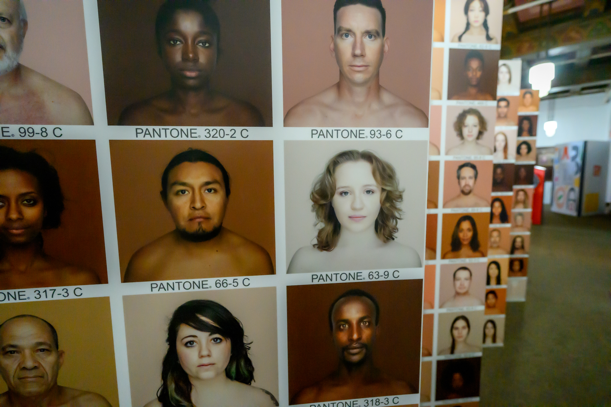 On panels for an exhibit, neutral Pantone colors are listed with a matching headshot of someone with that particular skintone.