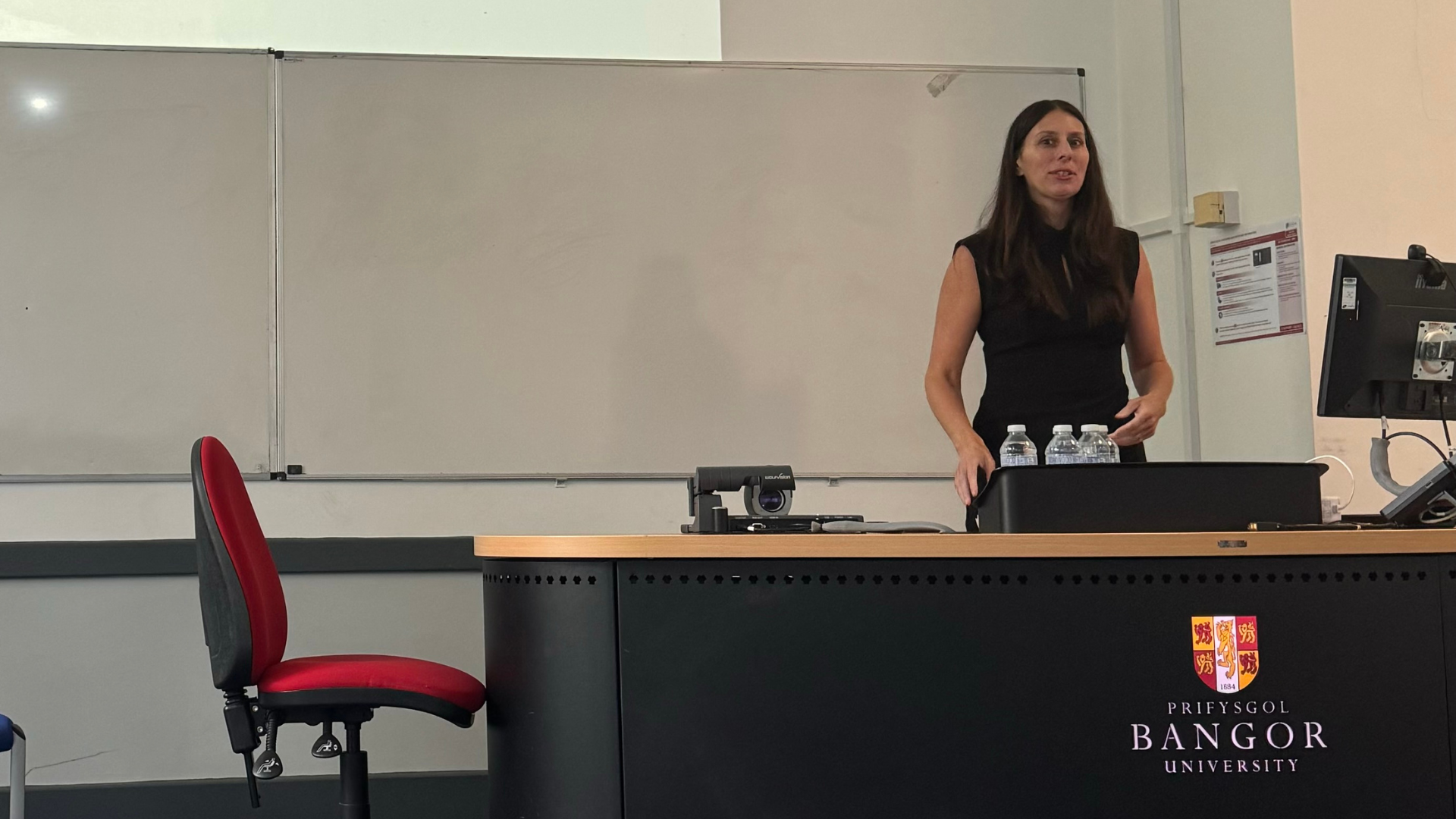 Professor Erin Sheley stands at the front of a classroom giving a presentation.