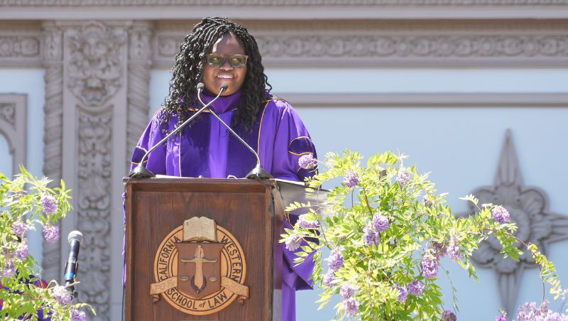 Judge Danna Nicholas 